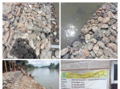 DIDUGA PEMASANGAN BRONJONG DESA LUBAR KEC. BUANA PEMACA TERKESAN ASAL-ASALAN